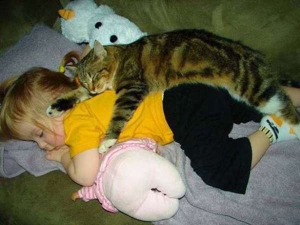 http://izismile.com/2012/08/22/babies_and_cats_being_too_cute_25_pics.html