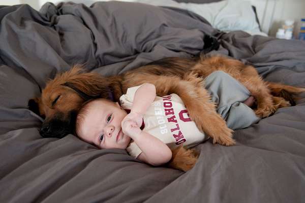 http://www.huffingtonpost.com/2013/05/24/dogs-and-babies-sleeping_n_3332420.html