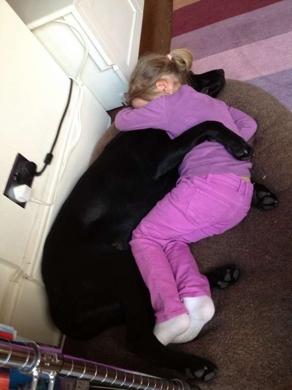 http://www.huffingtonpost.com/2013/05/24/dogs-and-babies-sleeping_n_3332420.html