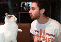 animaux-respect-humain-gif (12)
