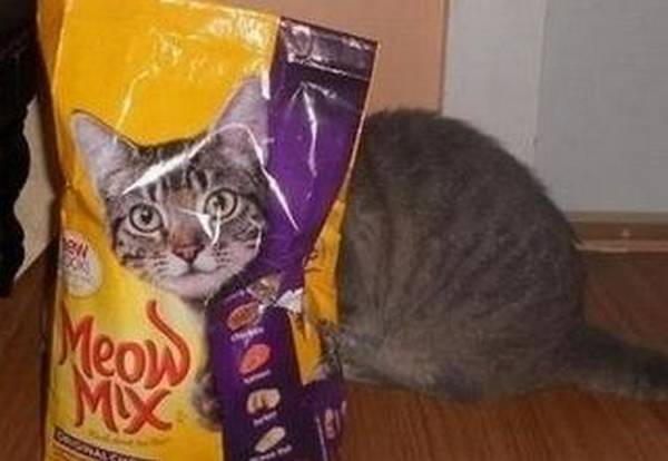 http://www.opticalillusioncollection.com/2013/02/funny-cat-food-optical-illusion_19.html