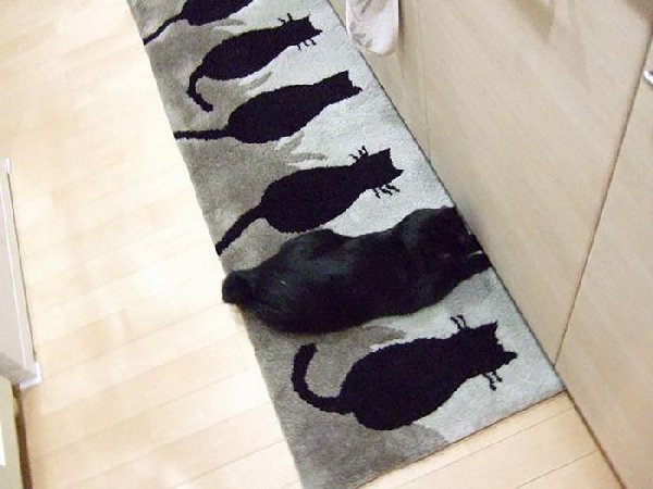 http://www.kulturologia.ru/files/u12645/ninja-cats-4.jpg