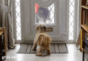 animaux-sale-caractere-gif (20)