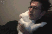 trucs-chats-proprietaires-gif (4)