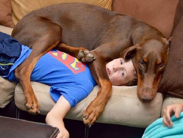 http://www.barnorama.com/wp-content/images/2015/02/dogs_violate_personal_space/05-dogs_violate_personal_space.jpg