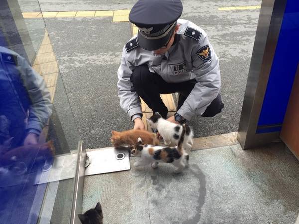 Facebook / Busan Police