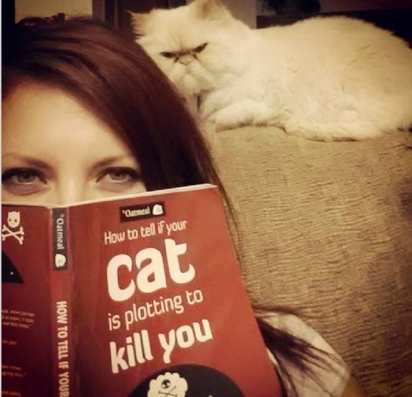 http://weknowmemes.com/2013/10/how-to-tell-if-your-cat-is-plotting-to-kill-you/