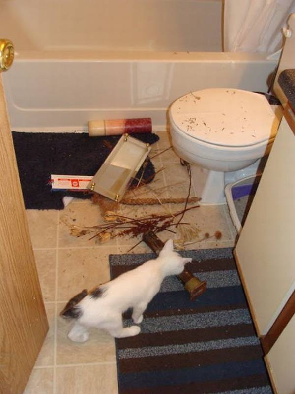 http://amazing-creature.blogspot.fr/2012/01/how-to-destroy-your-house.html#.WCb6dPnhC70