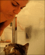 animaux-donner-sourire-gif (7)